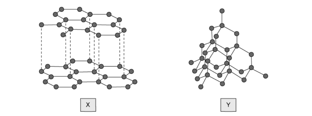 Two structures drawn as filled circles joined by solid lines, labelled X on the left and Y on the right. X is two flat arrangements of joined hexagons, one directly above the other, with vertical dashed lines running between them. Y is a single three-dimensional network of joined hexagons with several lines projecting outwards from its edges.
