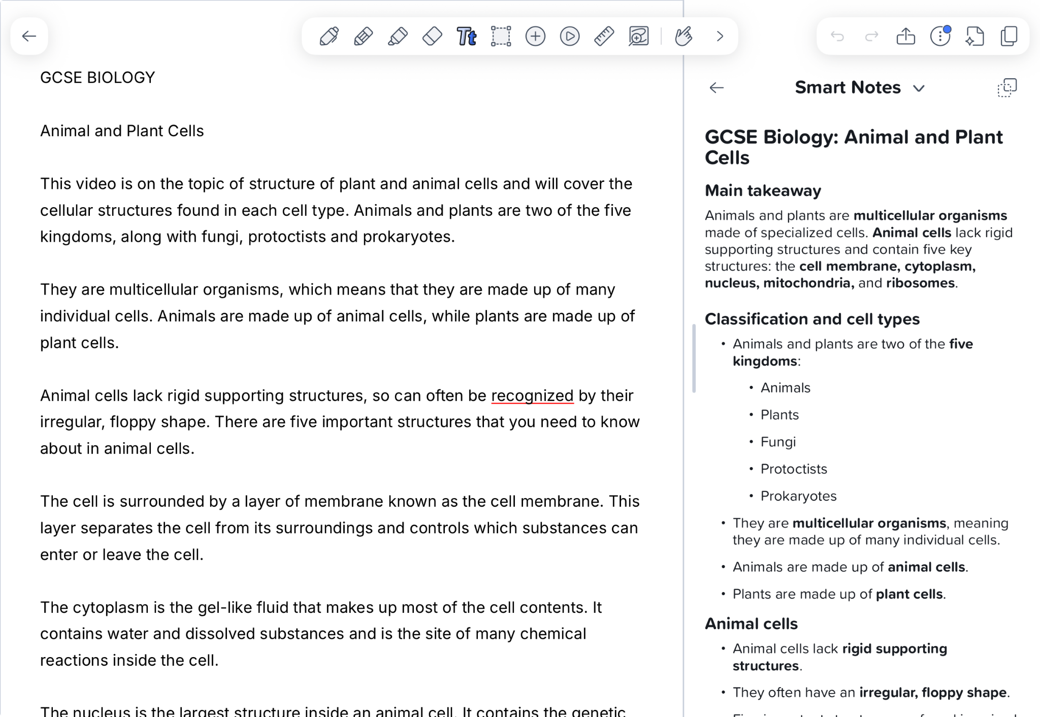 Notability screen showing dictated notes titled “GCSE Biology” and “Animal and Plant Cells” on the left, with Smart Notes on the right summarising the main takeaway, five kingdoms, classification and animal-cell features.