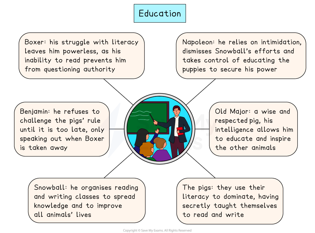 Mind map of education in Animal Farm, a classroom at the centre with six branches on Boxer, Napoleon, Benjamin, Old Major, Snowball and the pigs.