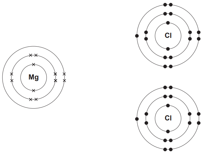Figure: Electronic structure diagrams of one magnesium atom and two chlorine atoms, each shown with their nucleus and electron shells populated according to their electronic structures.