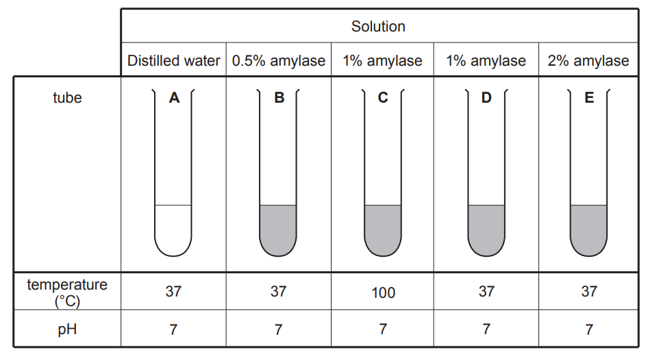 Diagram showing five labelled test tubes, A to E, with their solutions, temperatures and pH presented in a table; tubes B to E contain shaded liquid, while A contains distilled water.