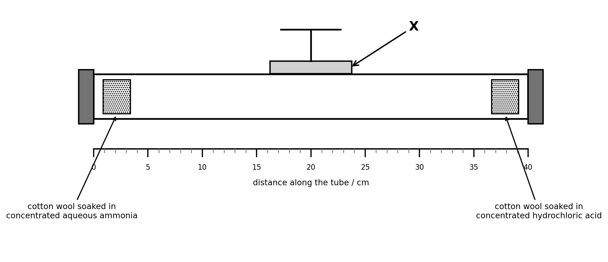 A horizontal glass tube drawn in outline, with a shaded bung sealing each end. Just inside each end of the tube is a hatched rectangle. A leader line from the left rectangle points to a label reading cotton wool soaked in concentrated aqueous ammonia, and a leader line from the right rectangle points to a label reading cotton wool soaked in concentrated hydrochloric acid. Resting on top of the tube at its midpoint is a shaded horizontal bar, from which a vertical stem rises to a short horizontal bar above it. An arrow labelled X points to the shaded bar. Beneath the tube is a scale numbered 0 to 40 in steps of 5, with smaller divisions every unit, labelled distance along the tube in centimetres. The left hatched rectangle sits at about 2 on this scale and the right one at about 38.