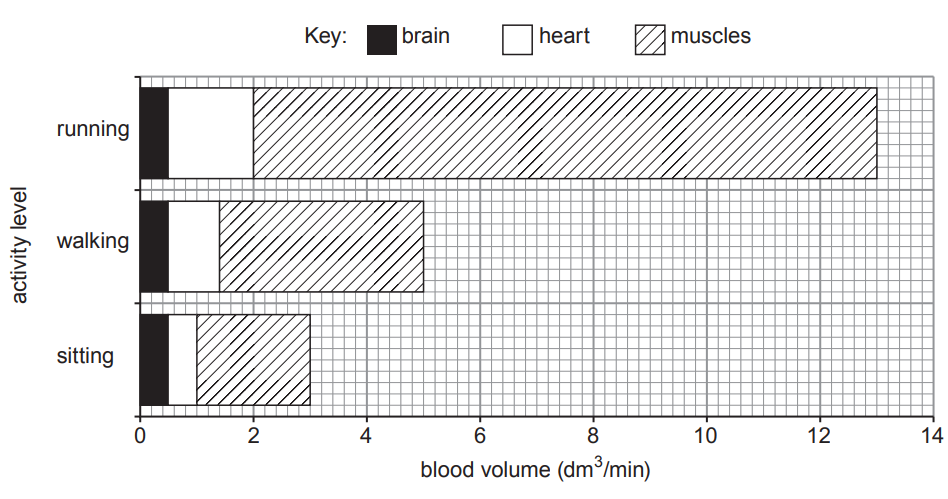 [Figure: Bar chart showing blood volume (dm3/min, y-axis 0-14) supplied to the brain, heart, and muscles, grouped by activity level: sitting, walking, and running. Blood volume to muscles increases substantially from sitting to running, while blood volume to the brain stays roughly constant]
