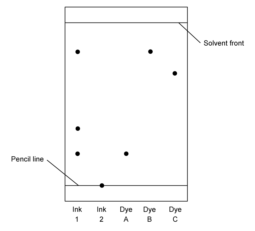 A chromatogram on a rectangular sheet of paper. A pencil line runs across near the bottom and the solvent front runs across near the top. Five lanes are labelled below the pencil line, reading left to right: ink 1, ink 2, dye A, dye B, dye C. Ink 1 has three spots, one high up near the level of dye B, one about halfway up and one lower down. Ink 2 has a single spot still sitting on the pencil line. Dye A has one spot level with the lowest of the ink 1 spots. Dye B has one spot level with the highest of the ink 1 spots. Dye C has one spot a little below the level of dye B, not level with any ink 1 spot.