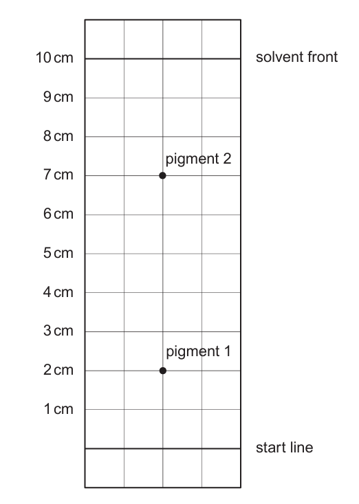 Chromatography strip, 10 cm tall, with a start line near the bottom, a dashed solvent front line at the top (10 cm), and two spots marked above the start line: pigment 1 at a lower height and pigment 2 at a higher height
