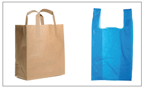 Photograph comparing a brown paper shopping bag with handles on the left and a blue plastic carrier bag on the right.