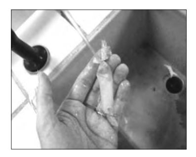 Photograph of a student rinsing a tied length of Visking tubing under a running tap over a sink, holding the tube in one hand while water flows over it.