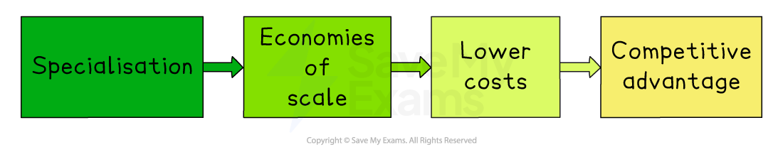 Green arrow diagram showing a sequence: Specialisation → Economies of scale → Lower costs → Competitive advantage