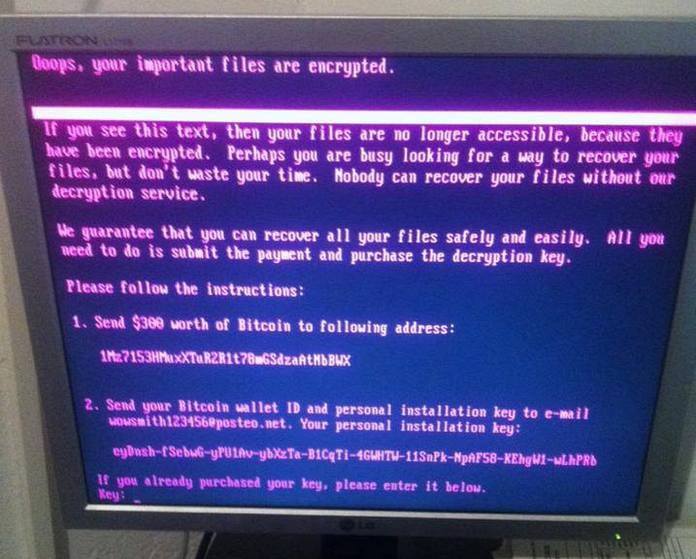 Photograph of a computer screen showing a ransom note: “Dogs, your important files are encrypted.” It demands 300 US dollars in Bitcoin and an email with the victim’s wallet ID to obtain a decryption key.
