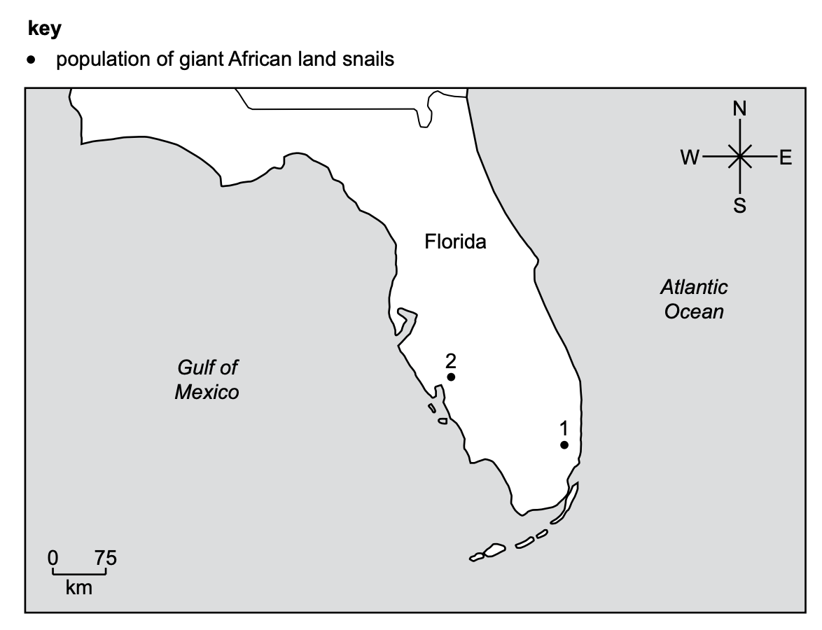 Map of Florida showing two giant African land snail populations, marked by black dots labelled 1 in the south-east and 2 on the west coast. A scale bar shows 0–75 kilometres; north, south, east and west are marked.
