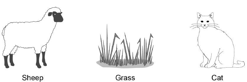 Figure 2 shows three separate black-and-white drawings labelled “Sheep”, “Grass” and “Cat”, arranged from left to right: a sheep, a clump of grass and a sitting cat.