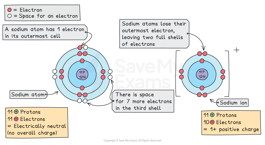 Diagram of sodium ion formation: a neutral sodium atom has 11 protons and 11 electrons arranged 2,8,1, with space for seven more in its outer shell. It loses one electron to form a 1+ ion with 10 electrons and two full shells.