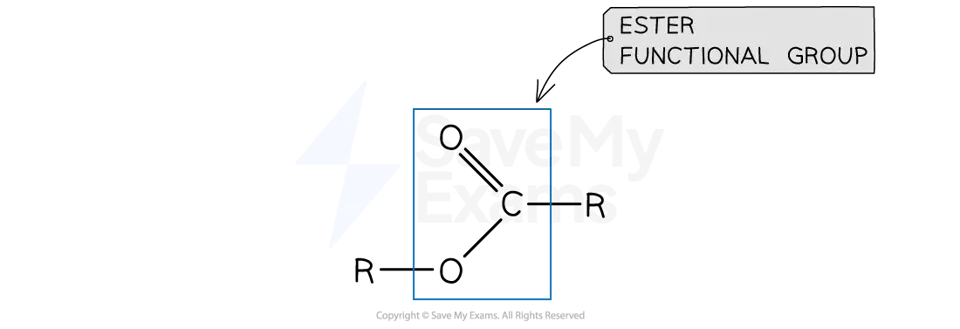 Diagram labelled “ESTER FUNCTIONAL GROUP”, showing R–C(=O)–O–R: a carbon double-bonded to oxygen and single-bonded to an oxygen linked to another R group.