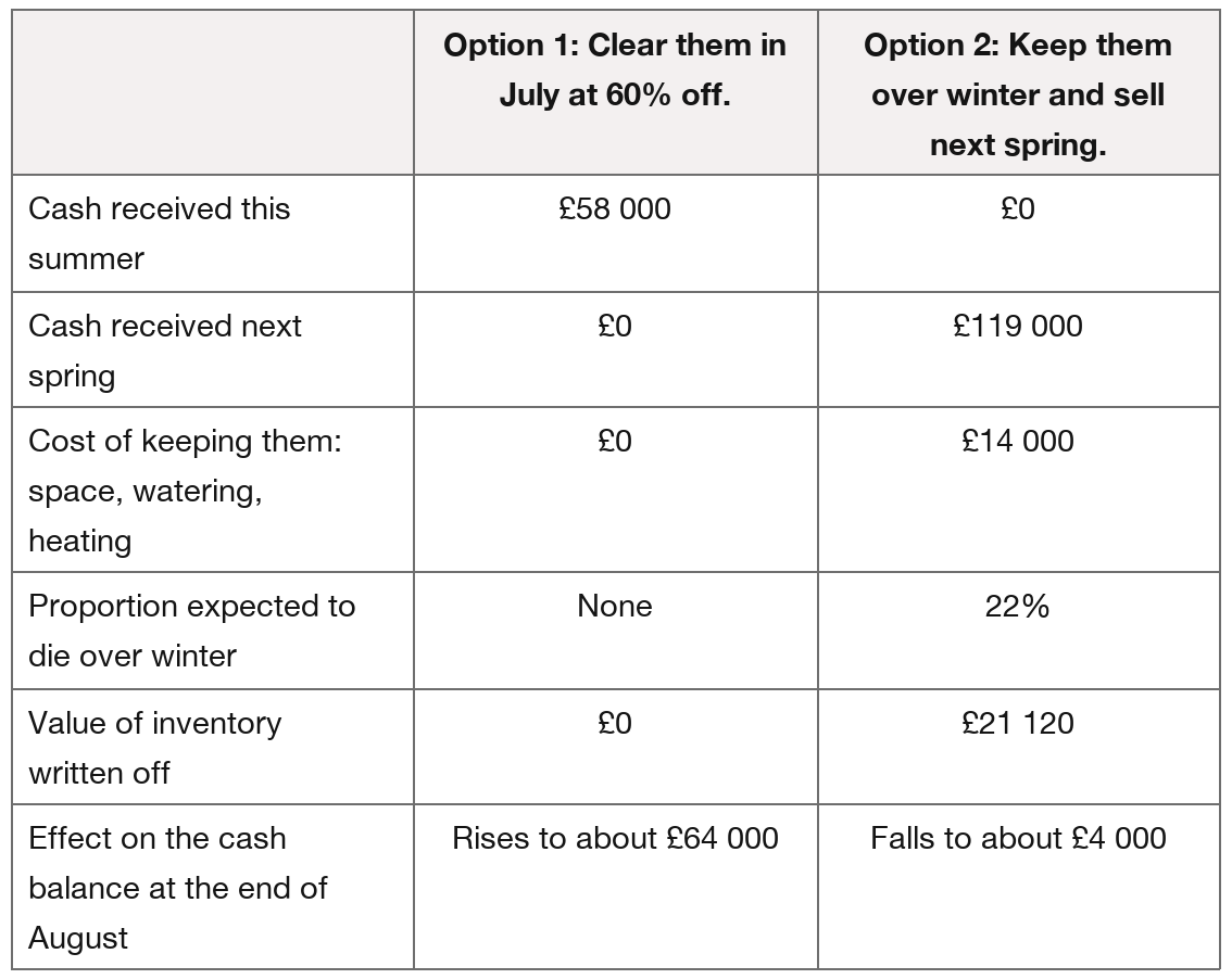 Table comparing Option 1, clear plants in July at 60% off, with Option 2, keep them over winter and sell next spring: summer cash £58,000/£0; spring £0/£119,000; keeping costs £0/£14,000; winter deaths none/22%; write-off £0/£21,120; end-August cash about £64,000/£4,000.