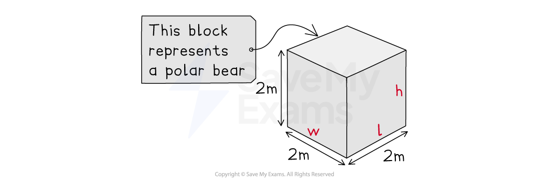 Diagram of a cube labelled “This block represents a polar bear”. Its length, width and height are each marked as 2 metres, labelled l, w and h.
