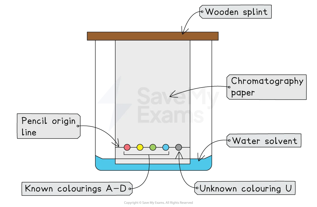 paper-chromatography-new