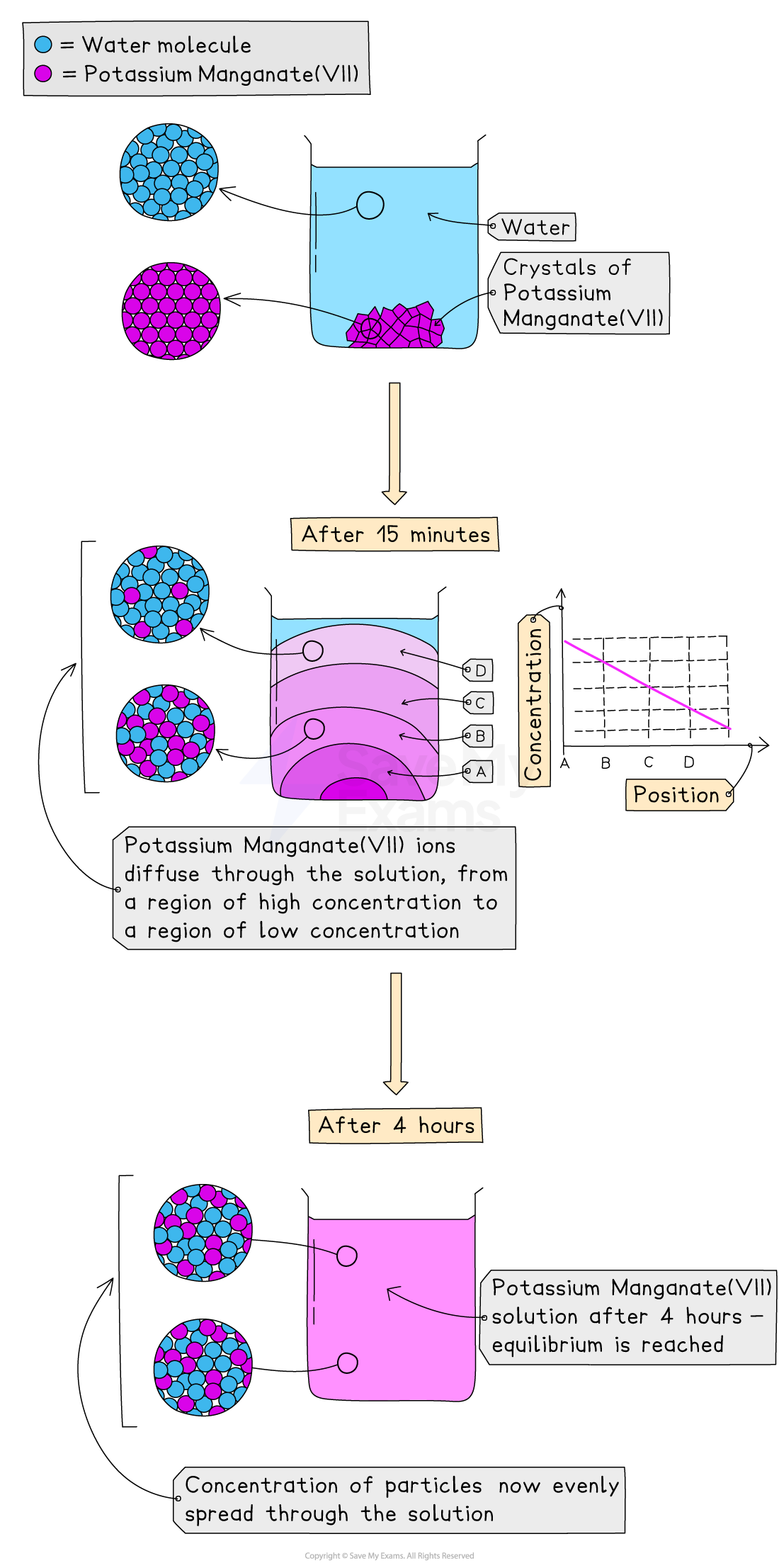 Diagram to show the diffusion of potassium manganate in water