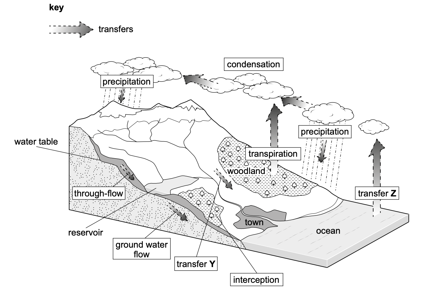 Water-cycle diagram showing mountains, woodland, a town, reservoir, water table and ocean, with labelled processes and dashed transfer arrows. Y points downhill towards a channel; Z points upwards from the ocean.