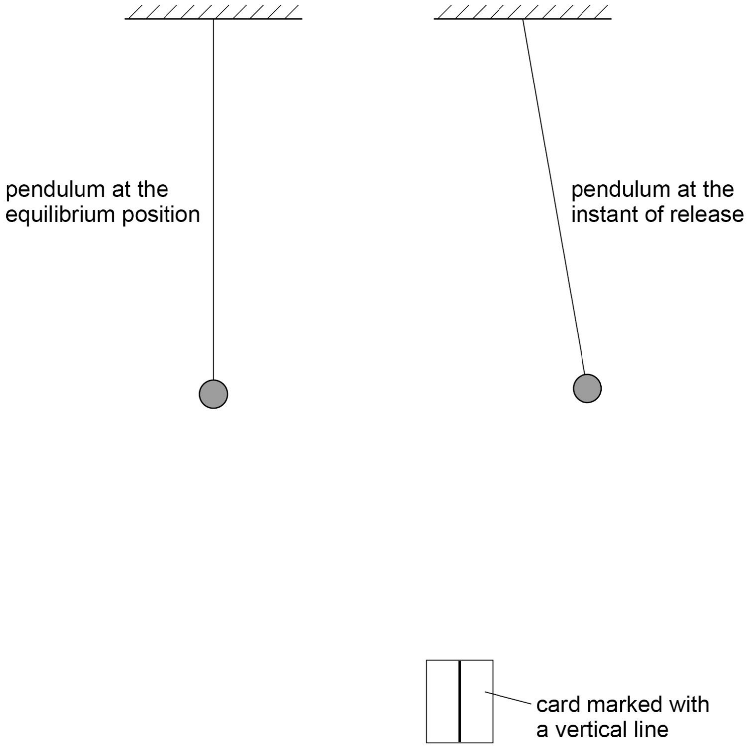 Two views of a simple pendulum: at rest at the equilibrium position, and pulled a small angle to the right at the instant of release. Drawn separately: a card marked with a vertical line.
