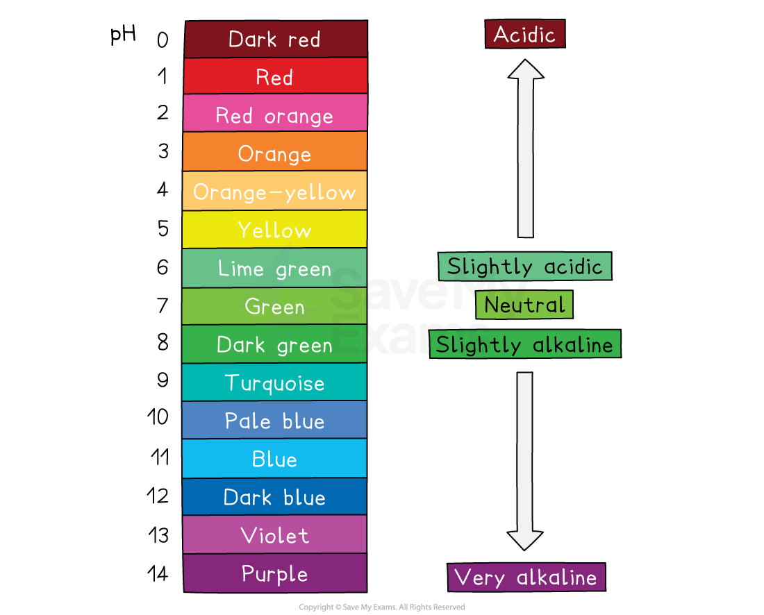 Universal indicator colour chart showing pH 0–14, from dark red through red, orange, yellow and green to turquoise, blue, violet and purple; low pH is acidic and high pH very alkaline, with 7 neutral.