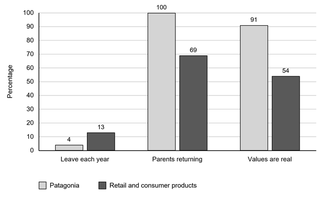 Grouped bar chart comparing Patagonia with retail and consumer products: percentages for leaving each year (4 vs 13), parents returning (100 vs 69), and saying values are real (91 vs 54); vertical axis 0 to 100%.