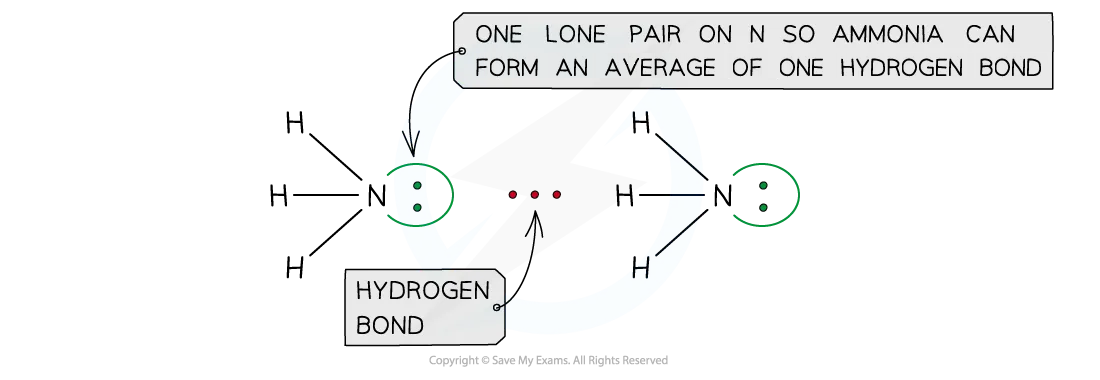 Two ammonia molecules joined by one hydrogen bond from a nitrogen lone pair to an H atom; one lone pair per molecule gives an average of one hydrogen bond.