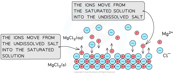 When undissolved magnesium chloride comes into contact with its ions in a saturated solution, an equilibrium between the salt and ions is established