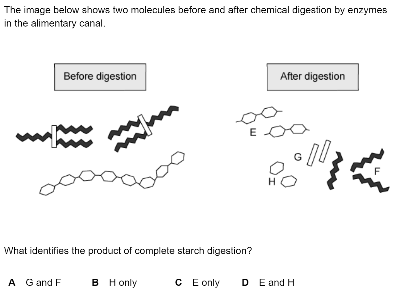 Biological Molecules CIE IGCSE Biology Questions & Answers 2022