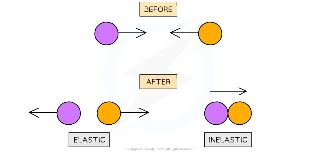 What's the Difference Between Elastic and Inelastic Compression? – Sun  Scientific