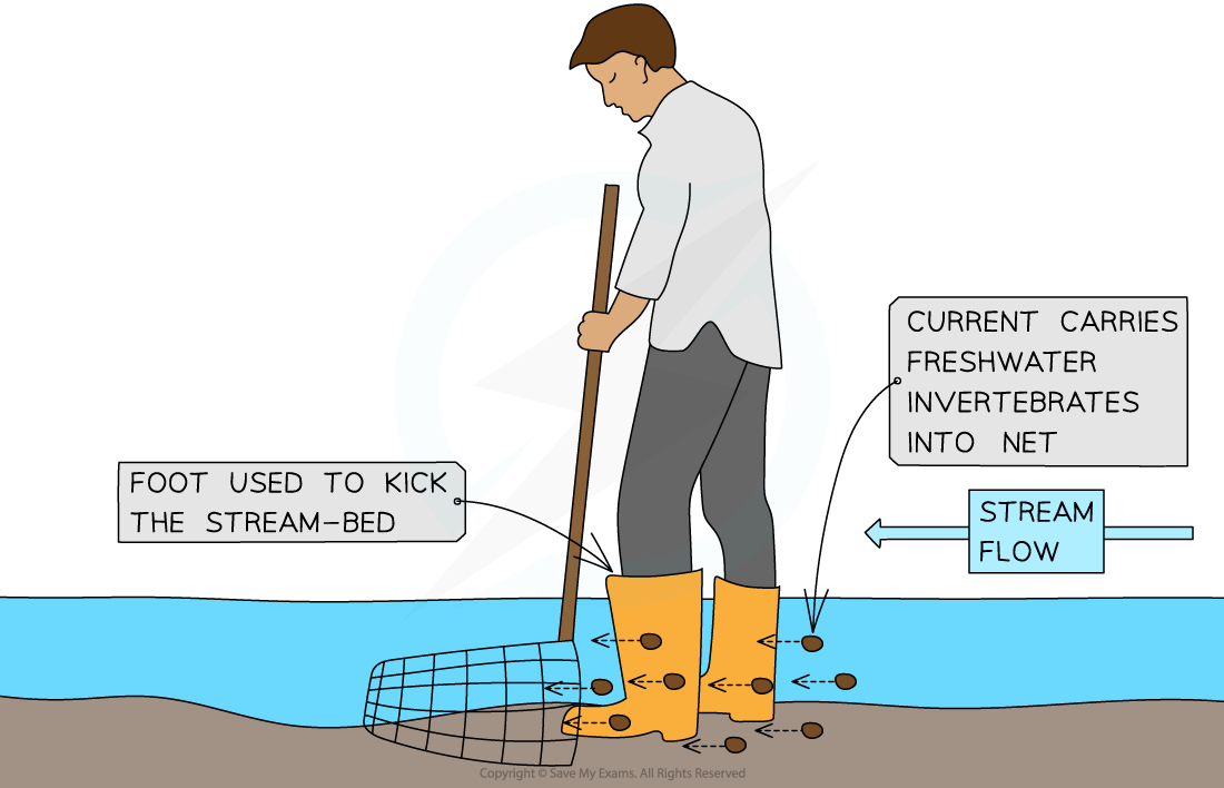 4.2.2 Sampling to Determine Biodiversity OCR A Level Biology Revision