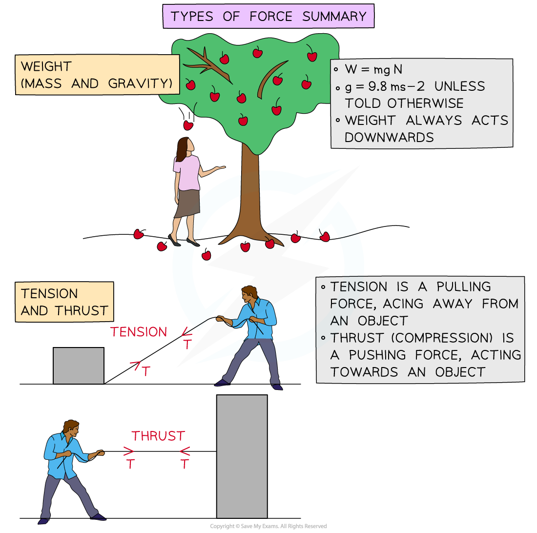 Types of Force Edexcel International A Level Maths Mechanics 1