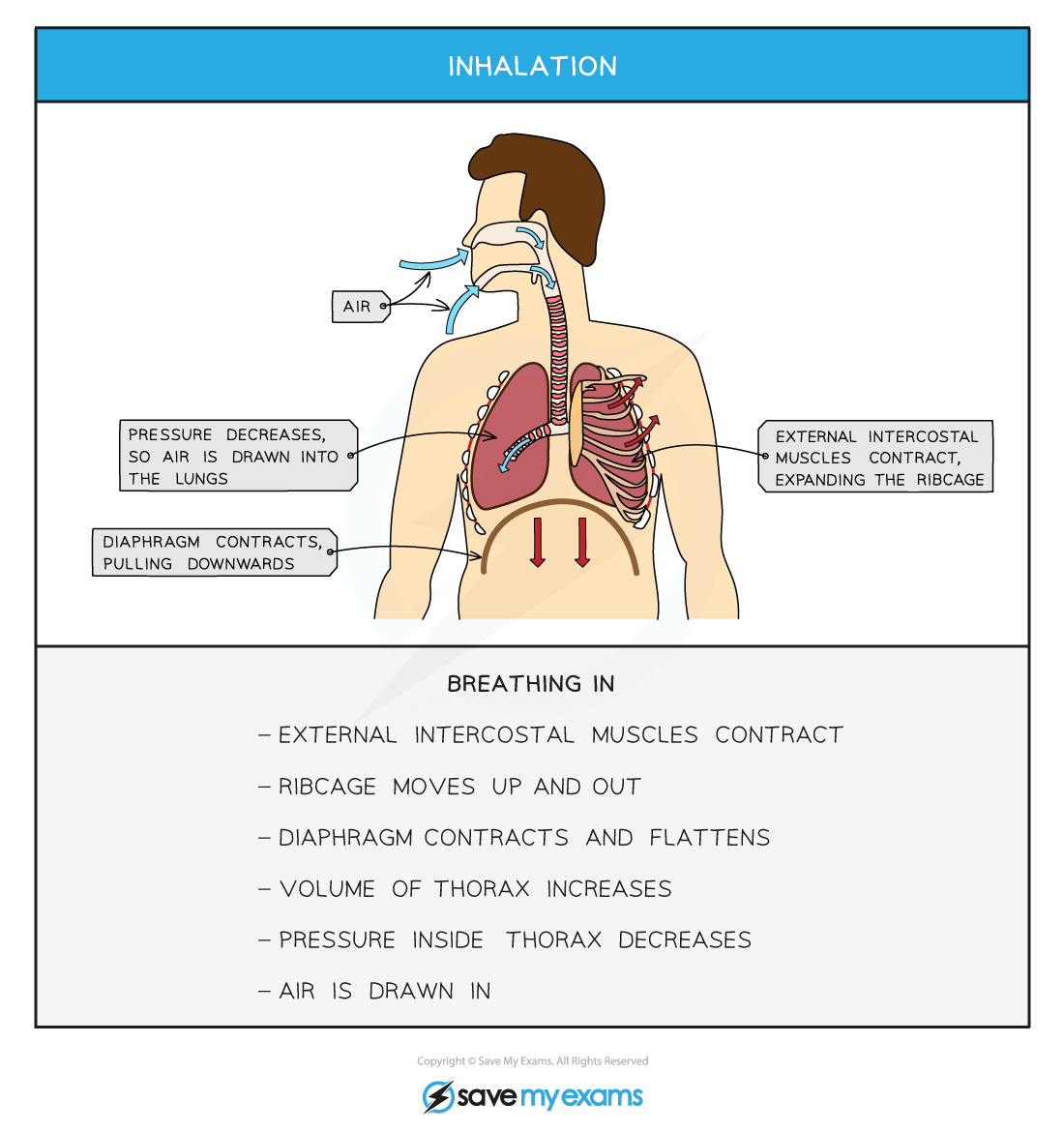 Inhalation