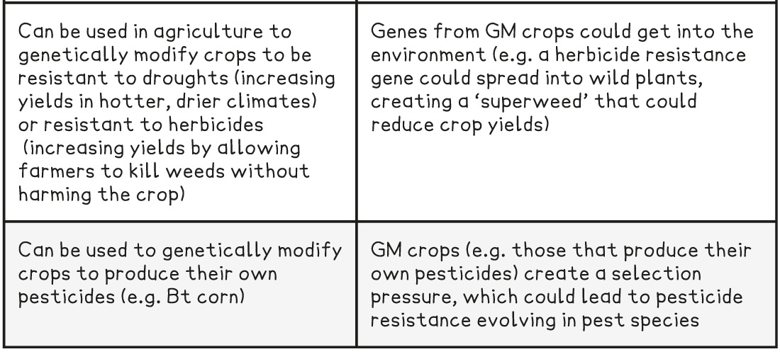 Evaluating the Use of Genetic Engineering | Edexcel GCSE Biology Revision  Notes 2016