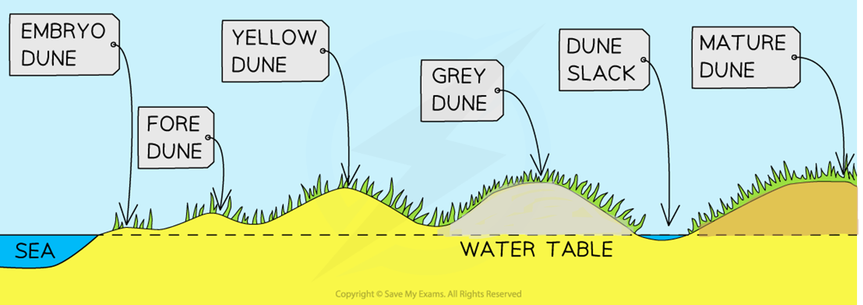 W1Cjelh8_dune-formation