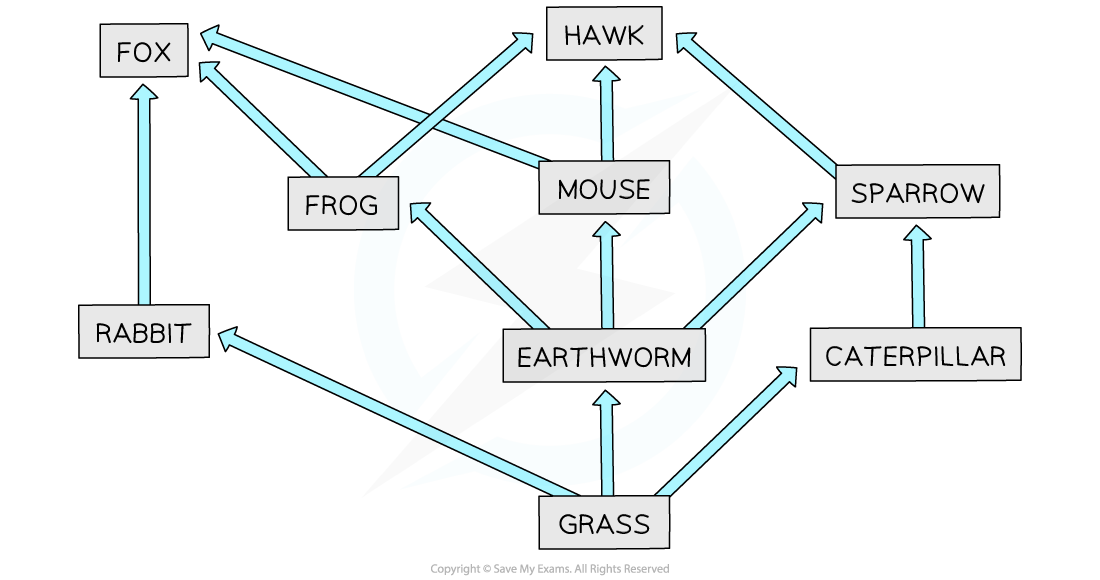 Community Biology Gcse