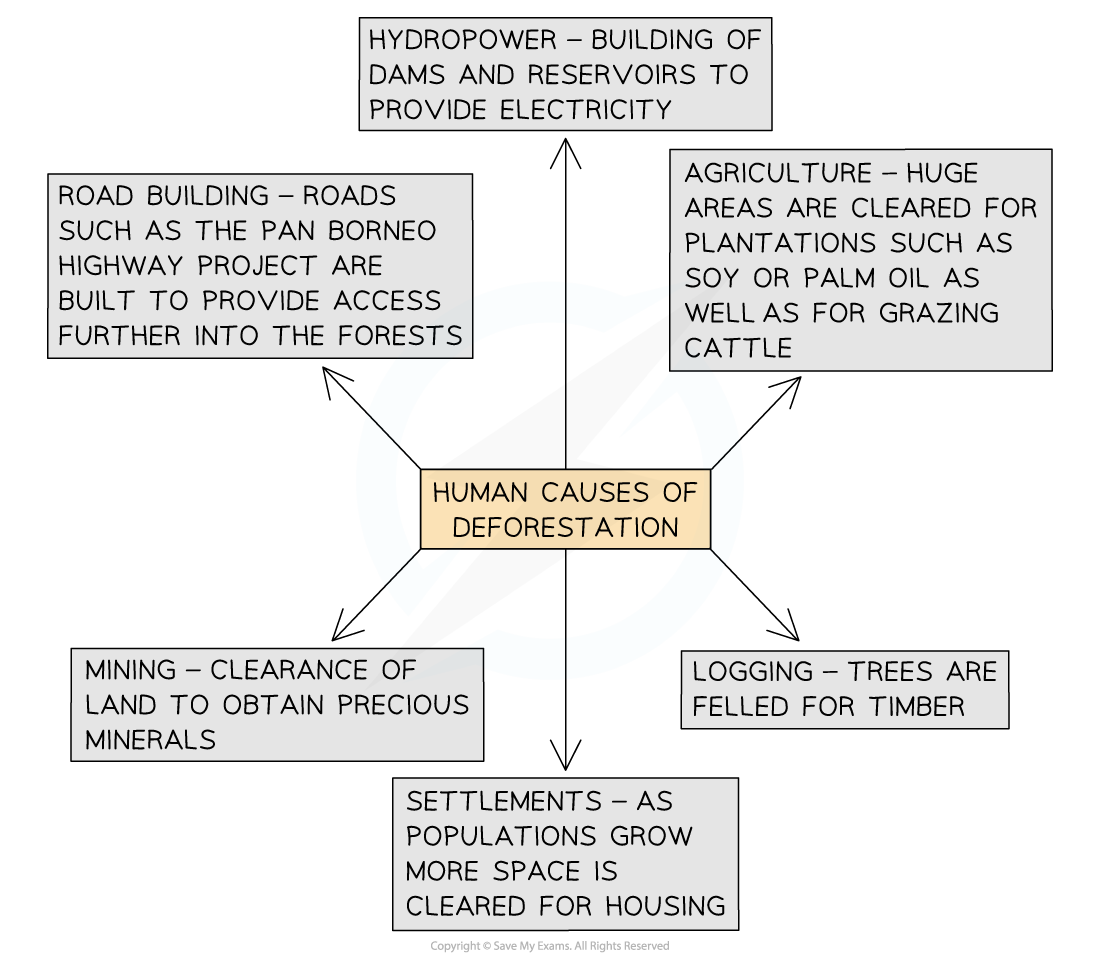 causes-of-deforestation