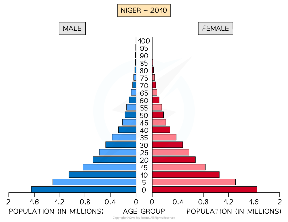 Population pyramid of Niger in 2010. Blue bars represent male population and red bars represent female population across different age groups from 0 to 100.