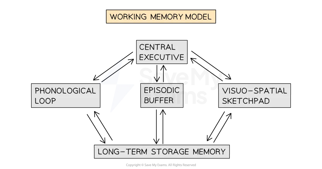 Working memory, thought, and action : Baddeley, Alan D
