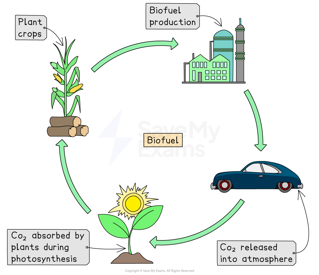 Biomass Energy - AP Environmental Science Study Guides