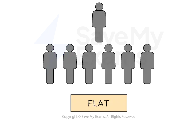 Diagram of a flat organisational structure with one leader and seven direct subordinates, labelled "FLAT" below.
