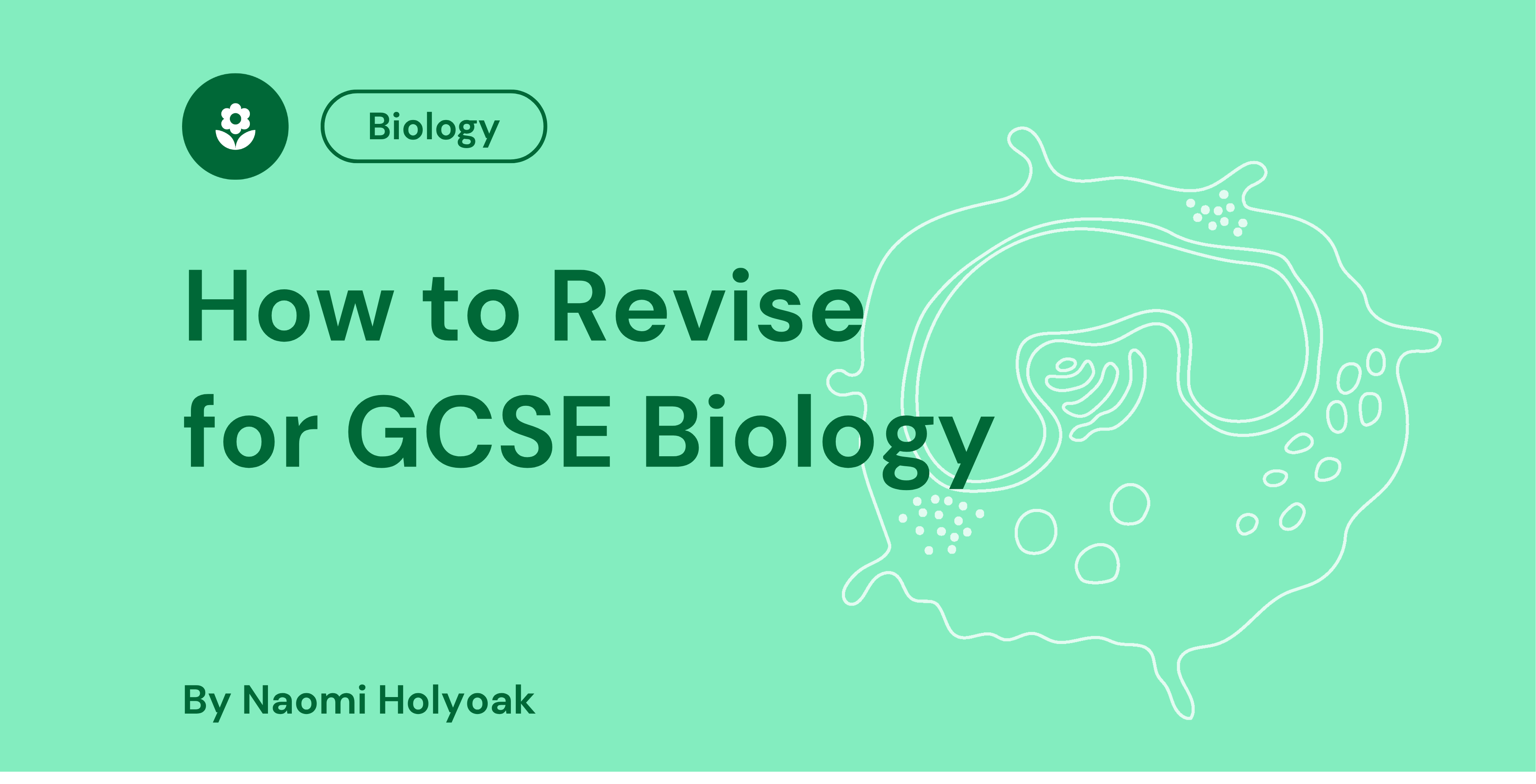 How to Revise for GCSE Biology
