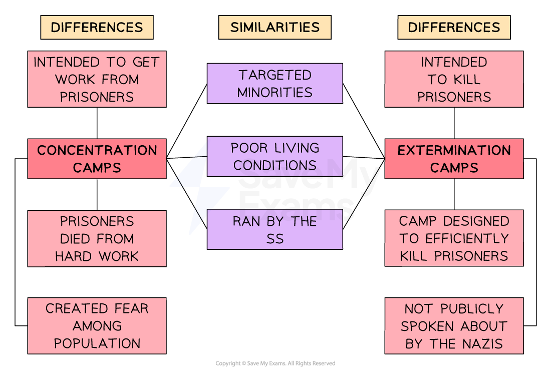 ALT TEXT: Differences and similarities between concentration camps and extermination camps
The image is divided into three sections: Differences (left and right sides) and Similarities (centre).
Left column – Concentration Camps (Differences):
Intended to get work from prisoners
Concentration camps (labelled in red)
Prisoners died from hard work
Created fear among population
Centre column – Similarities between both types of camps:
Targeted minorities
Poor living conditions
Ran by the SS
Right column – Extermination Camps (Differences):
Intended to kill prisoners
Extermination camps (labelled in red)
Camp designed to efficiently kill prisoners
Not publicly spoken about by the Nazis