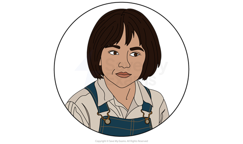 Scout (Jean Louise Finch) in To Kill a Mockingbird.