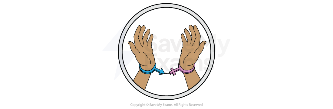 Theme symbol for tradition and gender: two raised hands cuffed by linked blue male and pink female symbols.